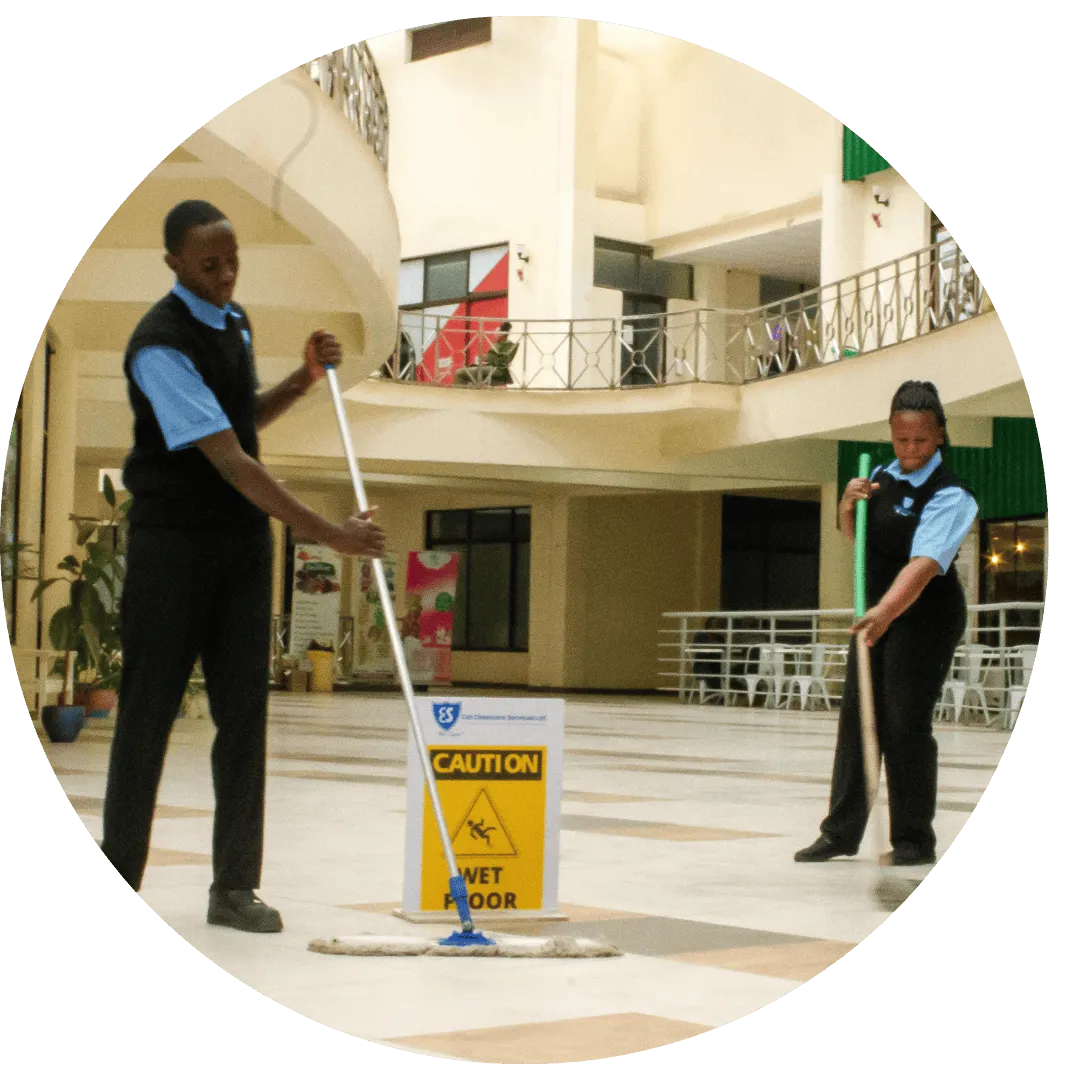 Professional cleaning