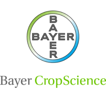 Bayer Bayer